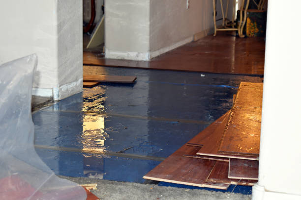 Professional Water Damage Restoration technician working in Vinton, TX